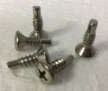 100 Stainless Steel Pilot Point Screws